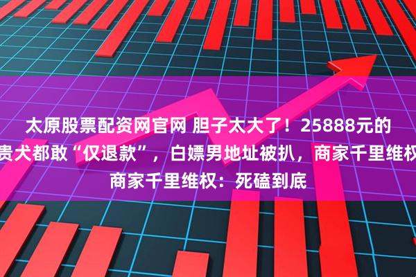 太原股票配资网官网 胆子太大了!25888元的马尔济斯名贵犬都敢“仅退款”,白嫖男地址被扒,商家千里维权:死磕到底