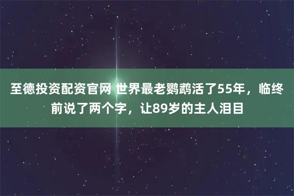 至德投资配资官网 世界最老鹦鹉活了55年，临终前说了两个字，让89岁的主人泪目