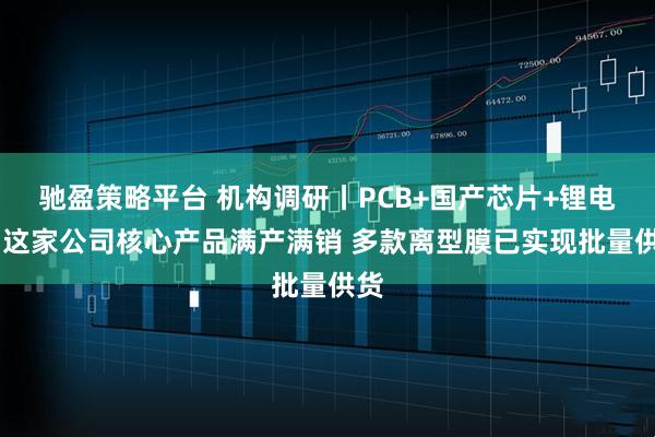 驰盈策略平台 机构调研丨PCB+国产芯片+锂电池 这家公司核心产品满产满销 多款离型膜已实现批量供货