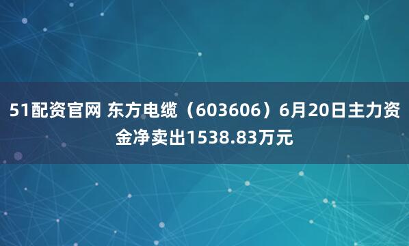 51配资官网 东方电缆（603606）6月20日主力资金净卖出1538.83万元